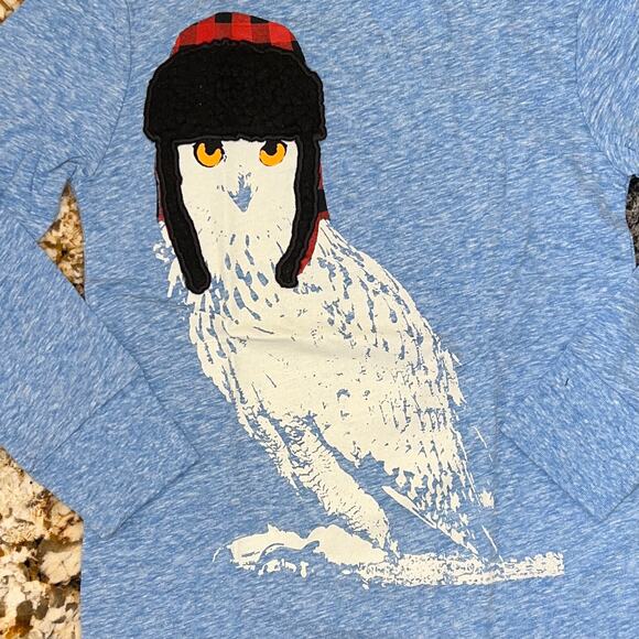 NWT J. Crew Boys' Light Blue W/Sherpa Owl Long Sleeve Tee - Picture 3 of 8